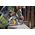 Dewalt 18v xr pil. tarczowa 190mm 2x5ah ps 14090755 5054905315740