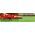 Piła łańcuchowa NAC NAC PIŁA ŁAŃCUCHOWA AKUM. 18V 1x2,0Ah 12,7cm 14104785 5905842505995