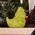 Figurka Numskull TUBBZ Sammelente - The Grinch                            9cm 14119091 5056280454571