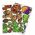 LeanToys Edukacyjny Zestaw Puzzli Magnetycznych Z Motywem Dinozaurów 14150944 5905884452431