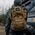 Plecak turystyczny Offlander OFFLANDER PLECAK TURYSTYCZNY TACTIC 23L 14151683 5903733009010
