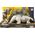 Figurka Mattel JURASSIC DINOZAUR TROPICIEL GIGANT AST HLP23 4 14174787 194735116782