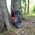 Plecak turystyczny Nils Extreme NC1993 PLECAK TURYSTYCZNY CZARNY NORTHLAKE 30L+10 NILS CAMP 14175849 5907695501605