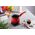 Berlinger Haus TYGIELEK DO PARZENIA KAWY PO TURECKU 660ml BERLINGER HAUS BH-7868 14189891 5999108466656