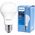 Piłap Żarówka LED Philips 929001234502 13-15W (100W) E27 A67 1521lm 2700K 14205162 8720169169012