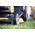 Kosiarka akumulatorowa Dewalt DEWALT KOSIARKA 2x18V DCMWP134W2 53cm 2x8,0Ah 14215305 5035048832653
