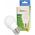 SpectrumLED LED Kulka E27 230V 8W CW Spectrum 14265399 5904433142076