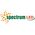 SpectrumLED LED Kulka E27 230V 8W CW Spectrum 14265399 5904433142076