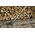 Bradas SZCZOTKA DO PODŁÓG 30cm 14268469 5907544426271