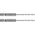 Wiertło Graphite Wiertło do metalu Hex 2.5 mm, 2 szt. 14286814 5902062072849