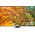 Telewizor Samsung QE85Q80DATXXH QLED 85'' 4K Ultra HD Tizen 13271336 8806095426327