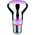 Paulmann Źródło LED Plant R63 E27 6,5W 230V prowzrostowa