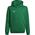 Adidas Bluza adidas ENTRADA 22 Hoody Y HI2143 HI2143 zielony 128 cm