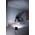 Brennenstuhl Przenosny reflektor LED Hybrid MULTI 6050 MH, 60W, 6200lm, IP65 1173140600