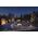 Paulmann Outdoor Plug & Shine Neon Stripe RGB IP67 24V