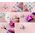 Kinkiet 1100230069 KINKIET LED ESTHER 28 4000K ROSE GOLD //  EL.1100230069