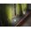 Paulmann Oprawa gruntowa Floor rd GU10 230V