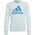 Adidas Bluza adidas Big Logo SWT HM8707