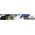 RM Motors Downpipe FORD FOCUS ST170 2.0