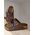 Birkenstock Birkenstock Arizona FL WB Habana 452761 Brązowe 36