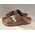 Birkenstock Birkenstock Arizona FL WB Habana 452761 Brązowe 36