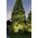 Paulmann Oprawa dogruntowa Plug & Shine FLOOR regulowana 20st. 6W 3000K 428lm IP67 24V srebrny / metal