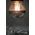Segula SEGULA LED Glühlampe Spiegelkopf E27 3,2W 270Lm 2700K dimmba