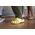 Crocs Crocs Classic 10001-6UR Beżowe 42/43