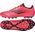 Adidas Buty adidas F50 League 2G/3G AG IF1329