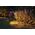 Kinkiet Paulmann Reflektor ogrodowy Plug & Shine STING LED 6.3W 2200K IP67 24V antracyt/ aluminium