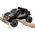 Revell Revell Control RC Car - zdalnie sterowany samochód z pilotem 27 MHz, stabilna konstrukcja, duże koła dla dobrej mobilności w terenie, oświetlenie LED, zasilanie bateryjne - buggy BULL SCOUT 24629