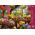 Trefl Puzzle 1000 elementów Premium Plus Przygotowania do wiosny