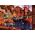 Trefl Puzzle 1000 elementów Premium Plus Nadmorski zakątek