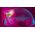 Soundbar Philips TAB8507B/10