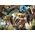 Trefl PUZZLE 1000EL TREFL 10906 PODROZ GRUGU DISN P6