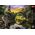 Trefl Puzzle 1000 elementów Premium Plus Most Rakotza w Kromlau Niemcy