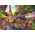 Trefl Puzzle 1000 elementów Premium Plus Quality Targ kwiatowy, Paryż