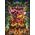 Good Loot Good Loot Puzzle: Diablo IV - Horadrim (1000 elementów)