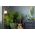 SCHNEIDERE Υποδοχή κηροπήγιου Schneider Sedna Design SDD112105 μπεζ Design & Elements 13477170 3606481478702