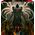 Good Loot Good Loot Puzzle: Diablo IV - Inarius