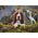 Clementoni Puzzle 1000 elementów HQ Charlie Brown