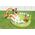 Intex Dmuchany plac zabaw Ogród 290x180cm (57154)