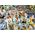 Ravensburger RAV puzzle 1000 Zwierzęta świata 17322