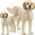 Figurka Schleich Goldendoodle