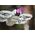 Filtr SunnyLife FILTR PEŁNY SZARY ND16 NDx16 do Drona DJI NEO / Sunnylife NE-FI872 ND16