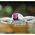 Filtr SunnyLife FILTR PEŁNY SZARY ND8 NDx8 do Drona DJI NEO / Sunnylife NE-FI872 ND8