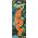 Hipo Wąż sticku żelowy 20-30cm H12792 28034