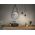 Lampa wisząca Paulmann Oprawa wisząca SHIMA GU10 max.10W IP44 230V czarny / metal