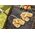 Ruhhy Mata na grill 3 szt 23470