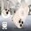 Case IPHONE 16 PRO Tech-Protect FlexAir MagSafe Clear transparent 5906302371839